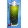 Planktonreaktor 14.0L - Knepo